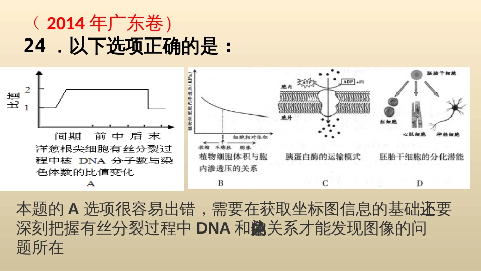 细胞分裂时DNA含量变化曲线图的分析—吴义容_第2页