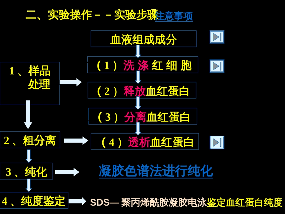 血红蛋白的提取和分离(优质课整理)_第2页