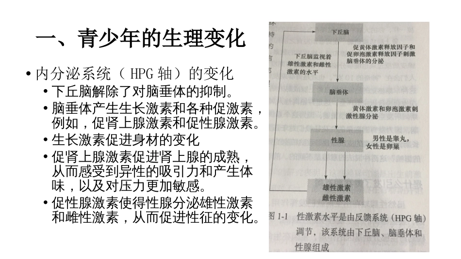 青少年心理发展与教育对策[共52页]_第2页