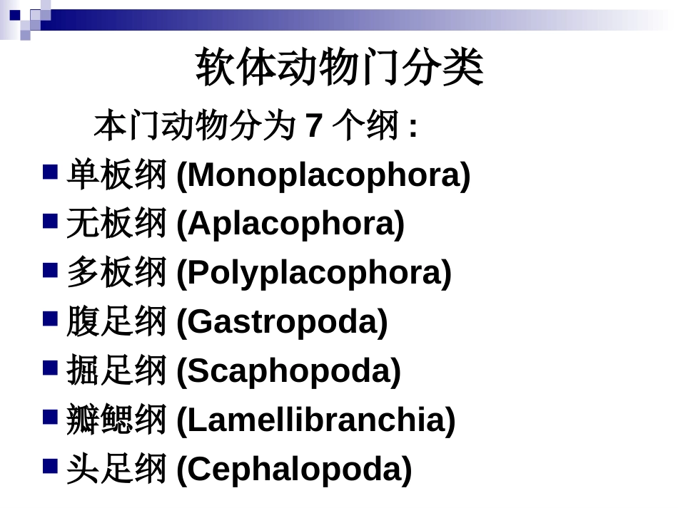 软体动物分类_第2页