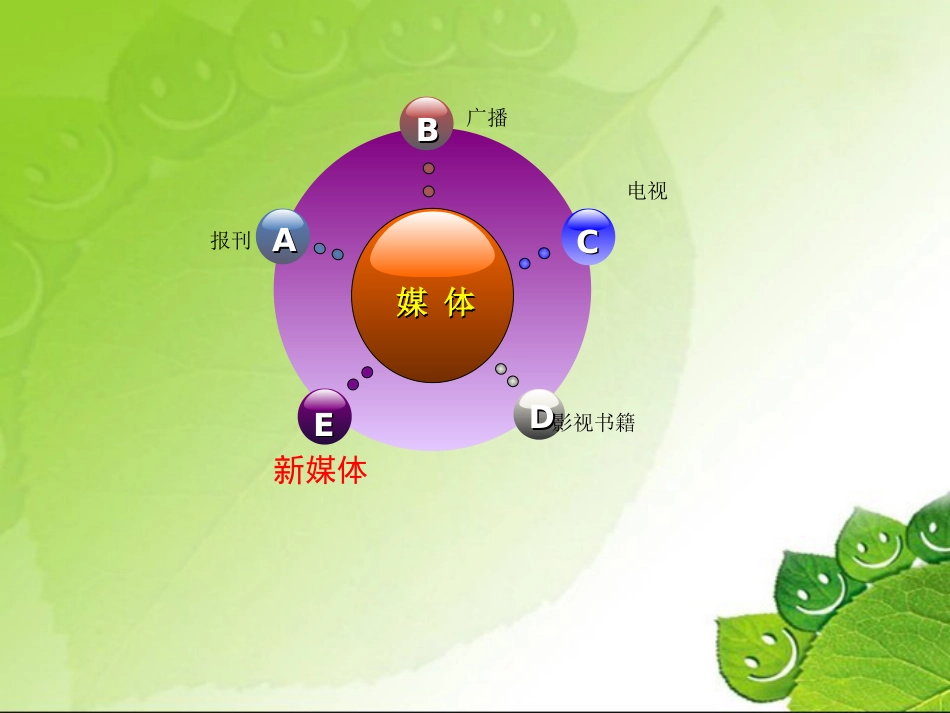 新媒体传播技巧与方法[共49页]_第3页
