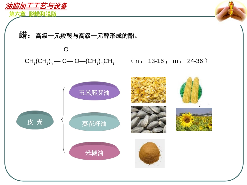 油脂加工工艺与设备——第六章[40页]_第2页