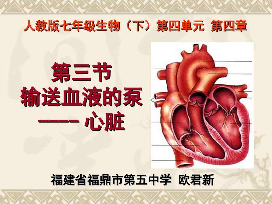 七年级生物下册第四章第三节输送血液的泵心脏课件_第1页
