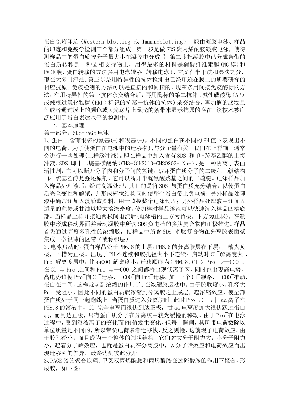 Westernbloting全攻略[4页]_第1页