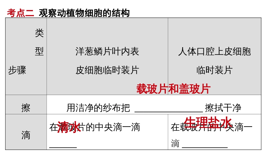 细胞结构和功能专题_第2页