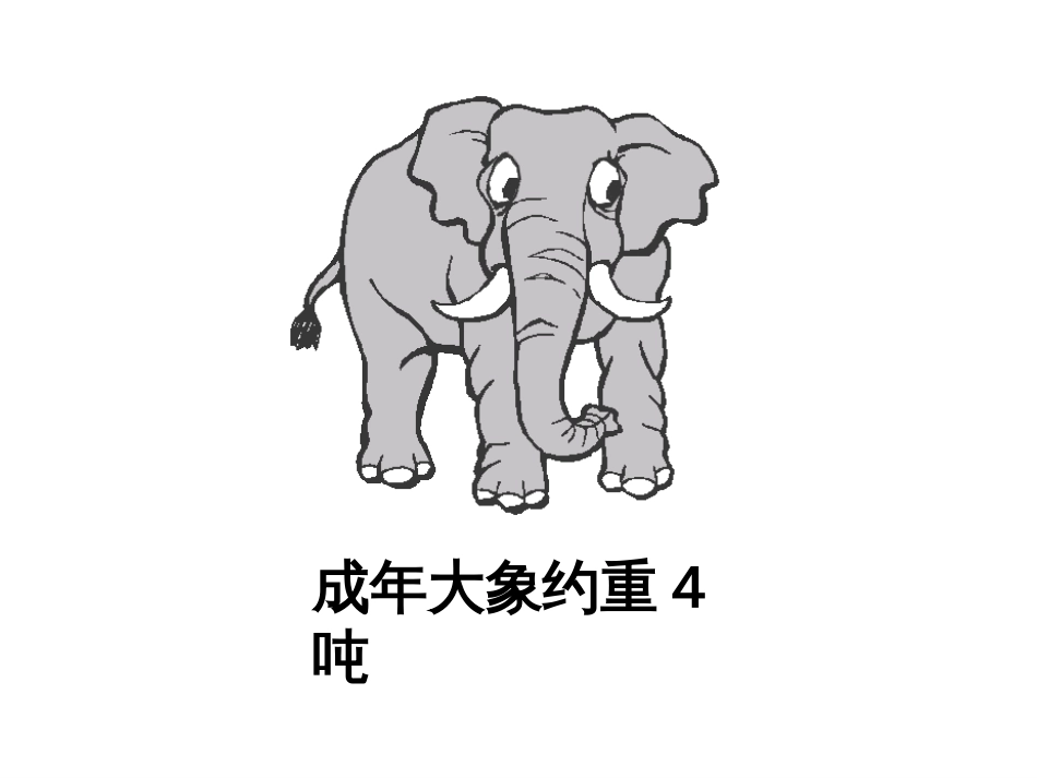 新北师大版三年级数学《一吨有多重》PPT课件[28页]_第2页