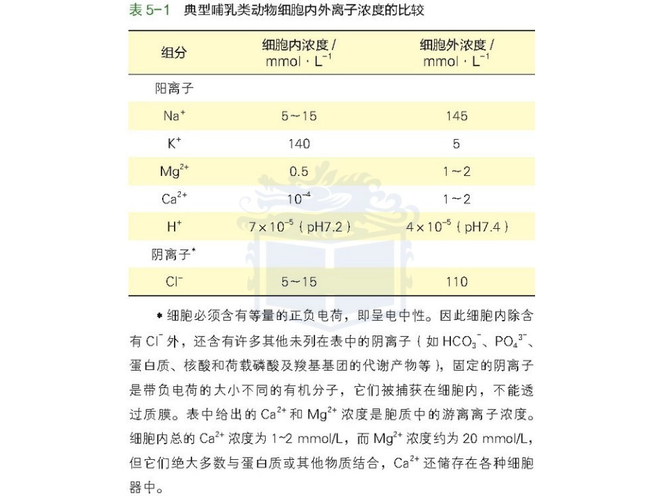 (3.4)--第4章 物质的跨膜运输_第3页