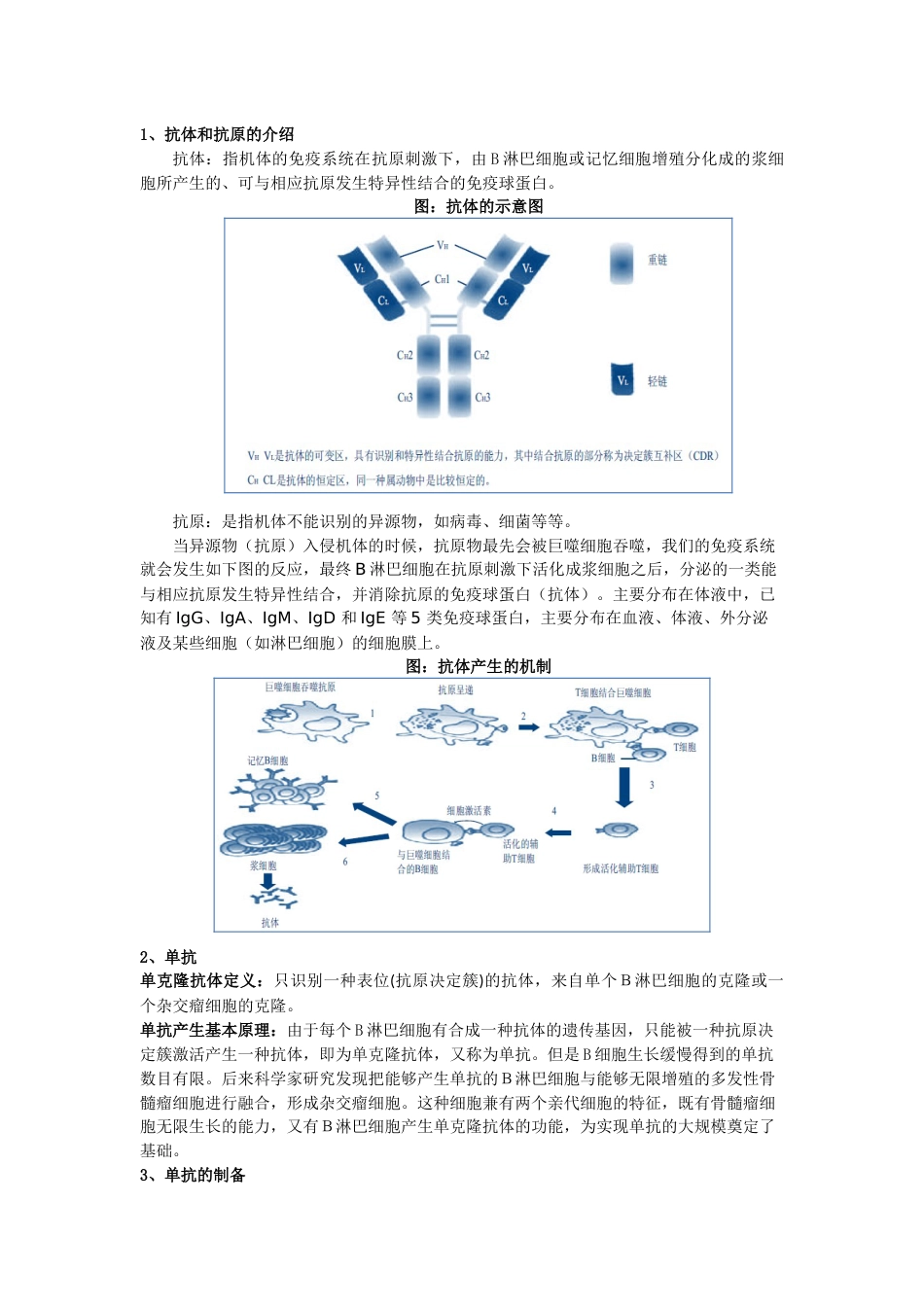 什么是单抗如何生产_第1页