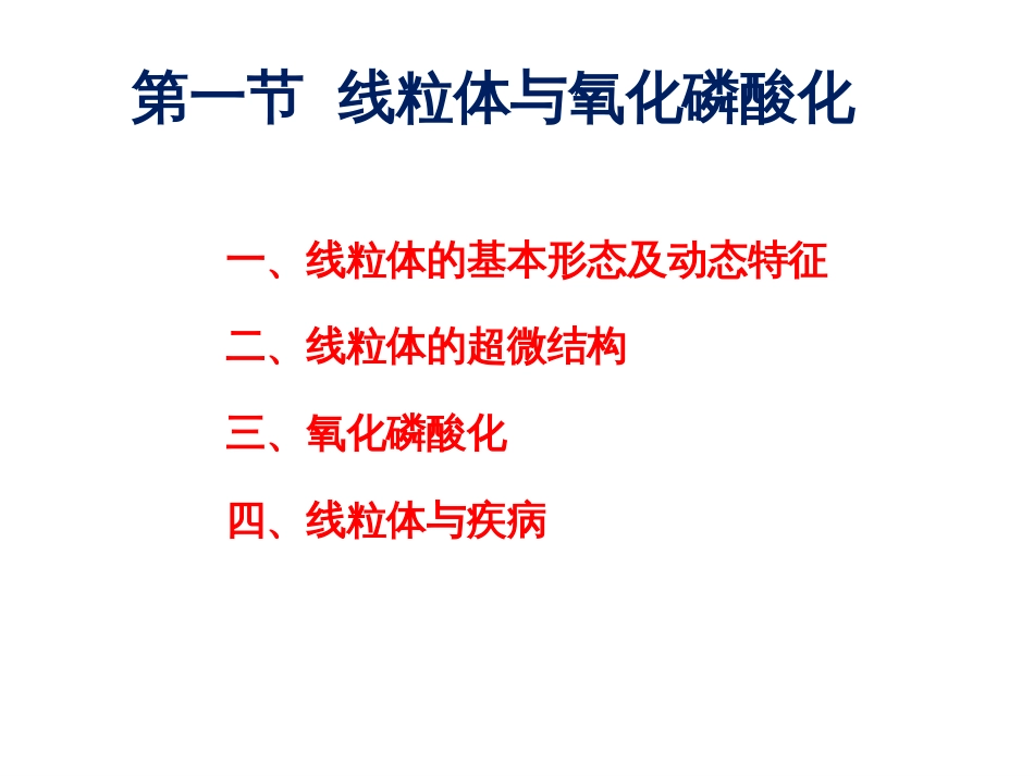 (3.7)--第7章 线粒体和叶绿体_第3页