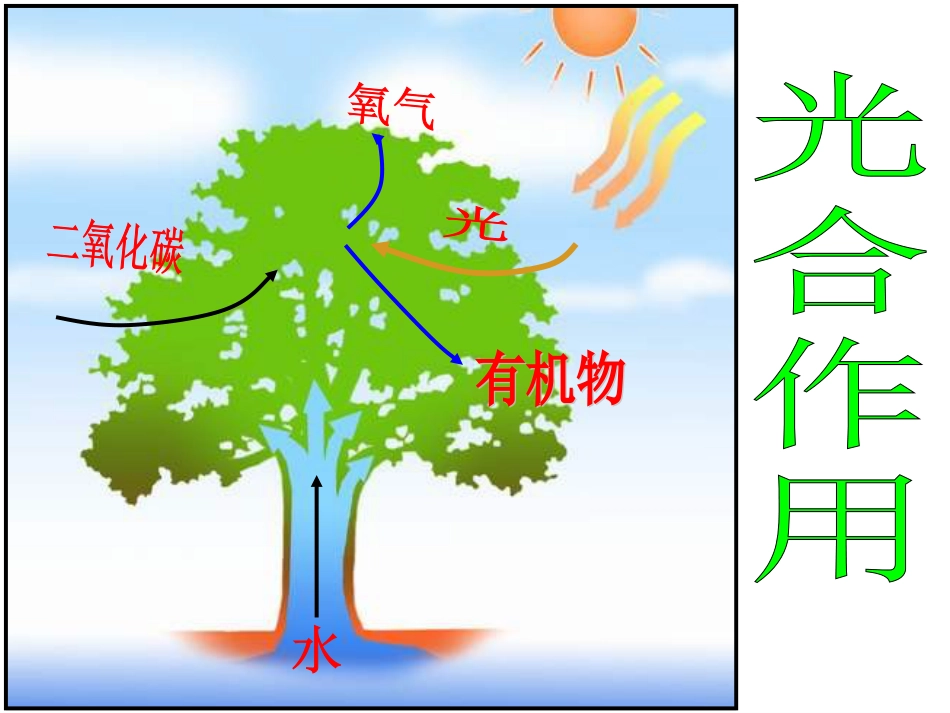 公开课《能量源——光与光合作用》PPT课件_第2页