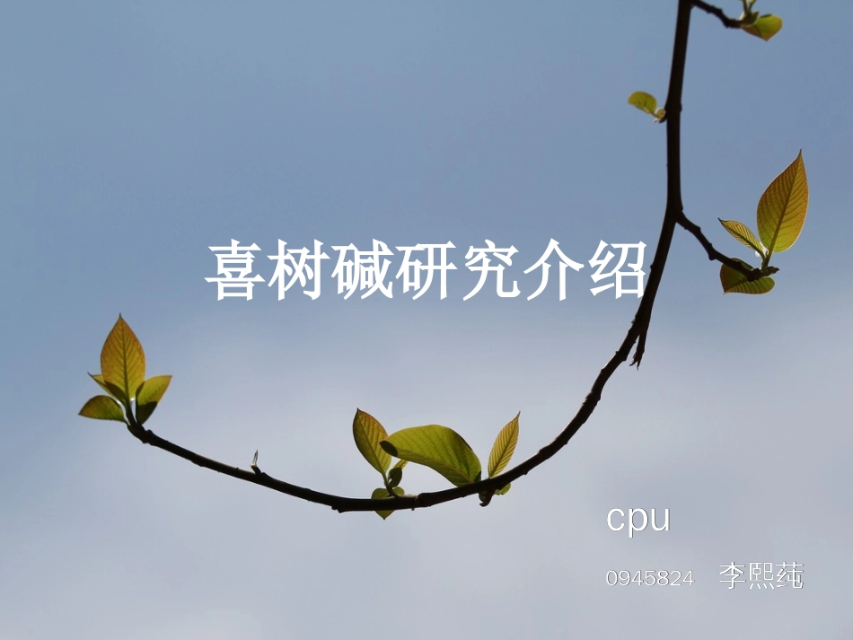 喜树碱综合探讨_第1页