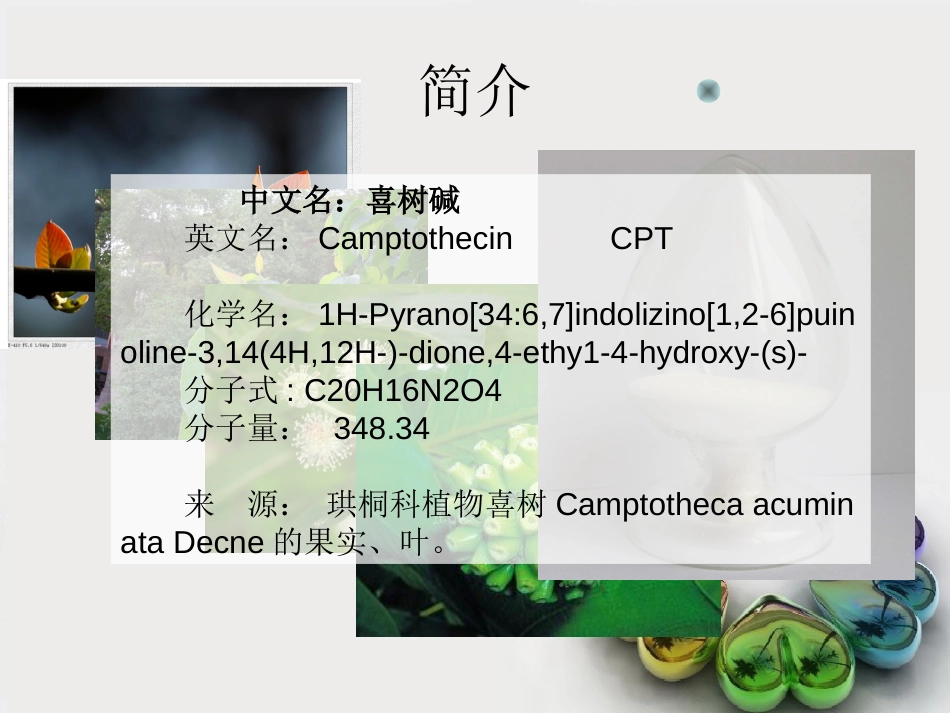 喜树碱综合探讨_第2页