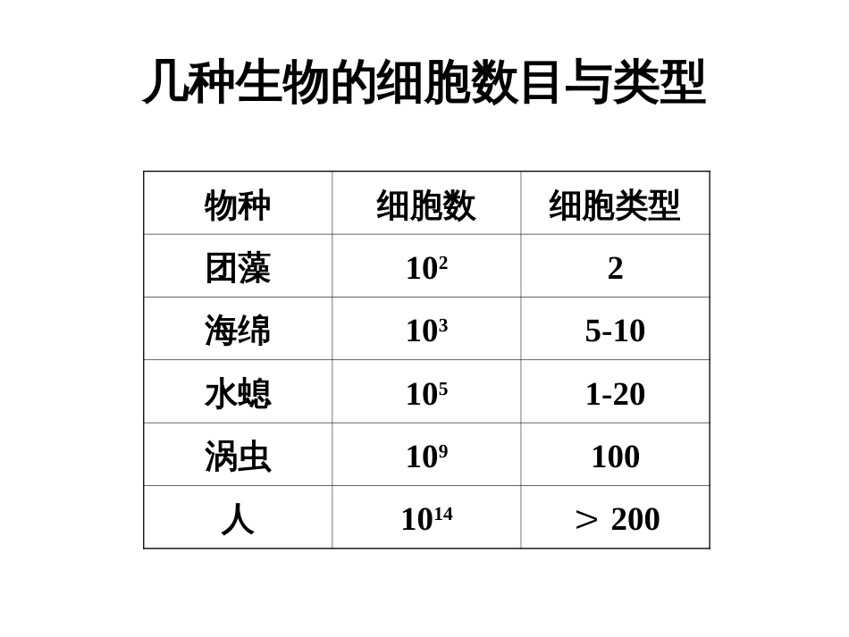 (3.14)--第14章 细胞分化与胚胎发育_第2页