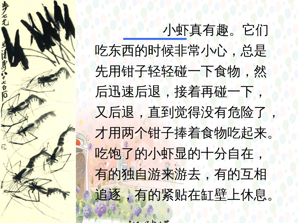 小学语文三年级下册《小虾》课件_第3页