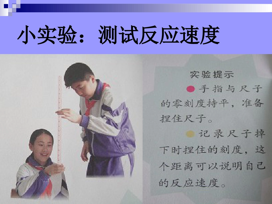 青岛版五年级下册科学——4脑与神经[共21页]_第3页