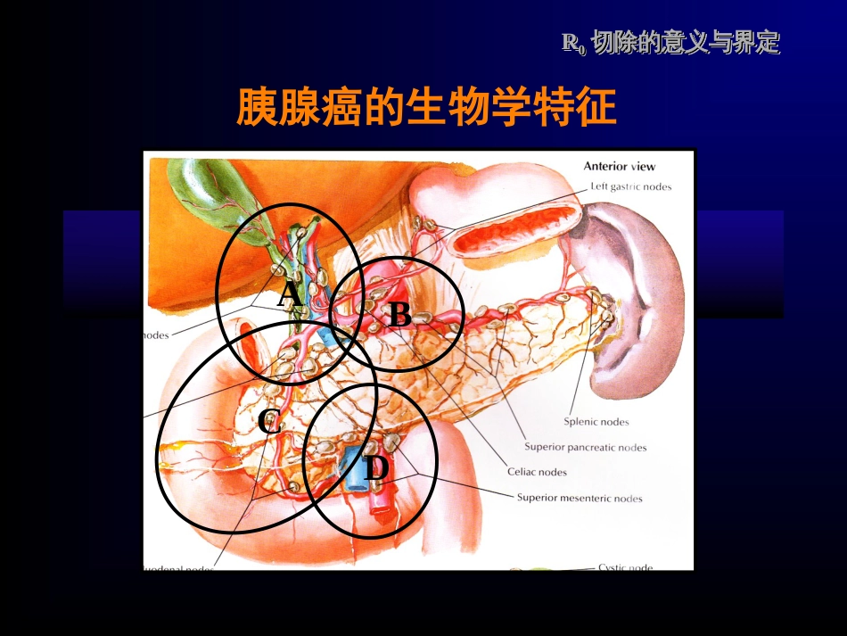 解剖性胰十二指肠切除术[53页]_第2页