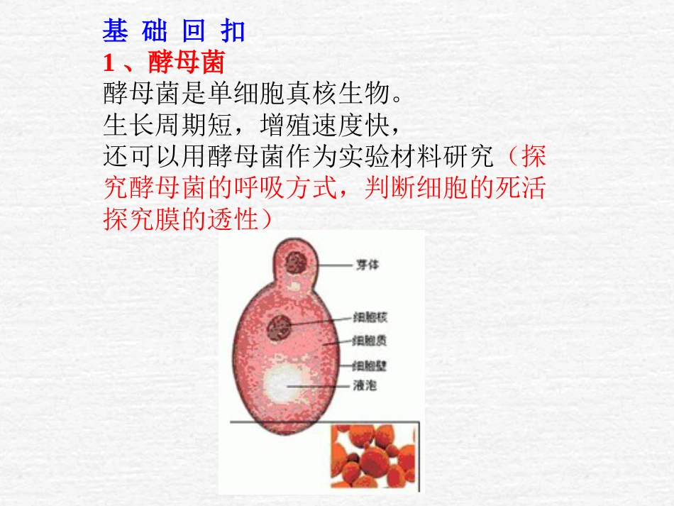 探究培养液中酵母菌种群数量的变化[30页]_第2页