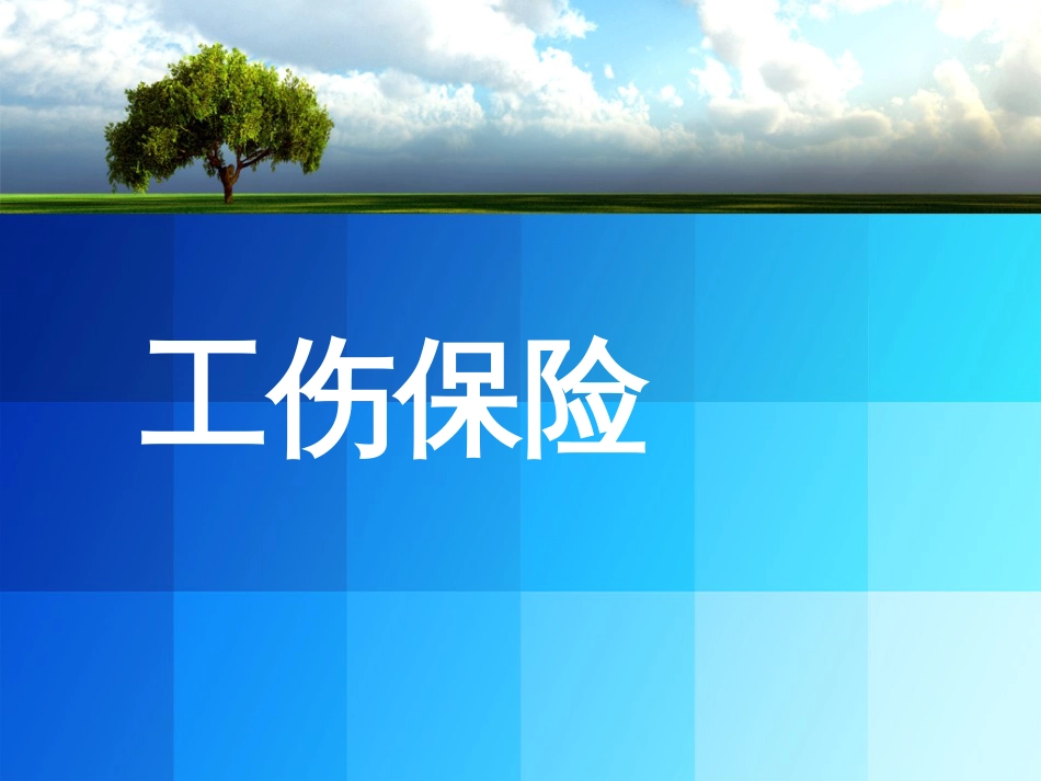 工伤保险培训[23页]_第1页