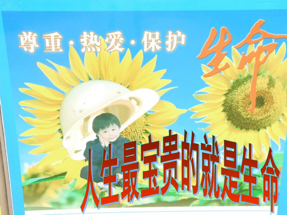 小学安全教育日主题班会[53页]_第3页