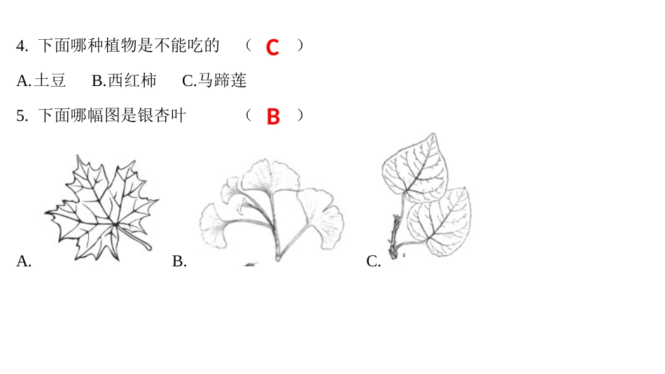 教科版一年级科学上册第一单元测试题[6页]_第2页