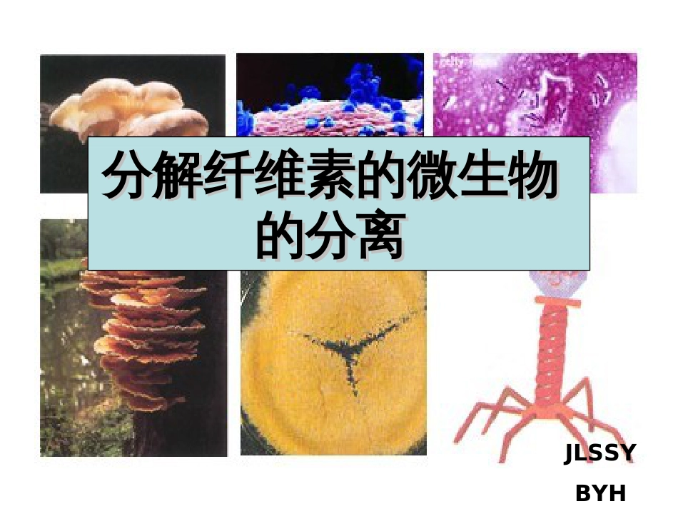 公开课分解纤维素的微生物的分离[31页]_第1页