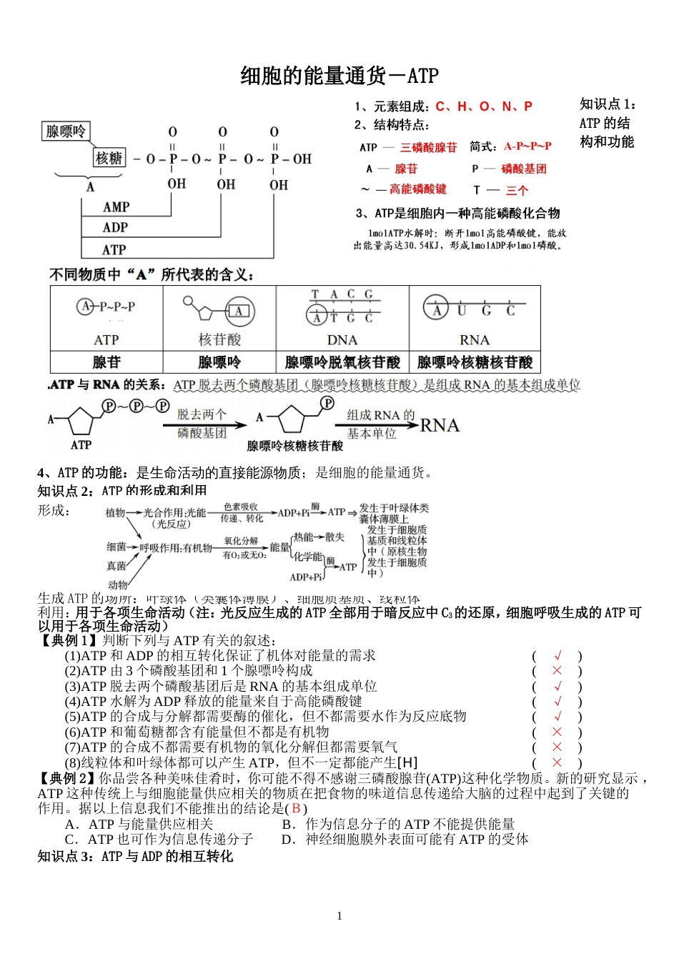 细胞的能量通货ATP一轮复习教学案教师版_第1页