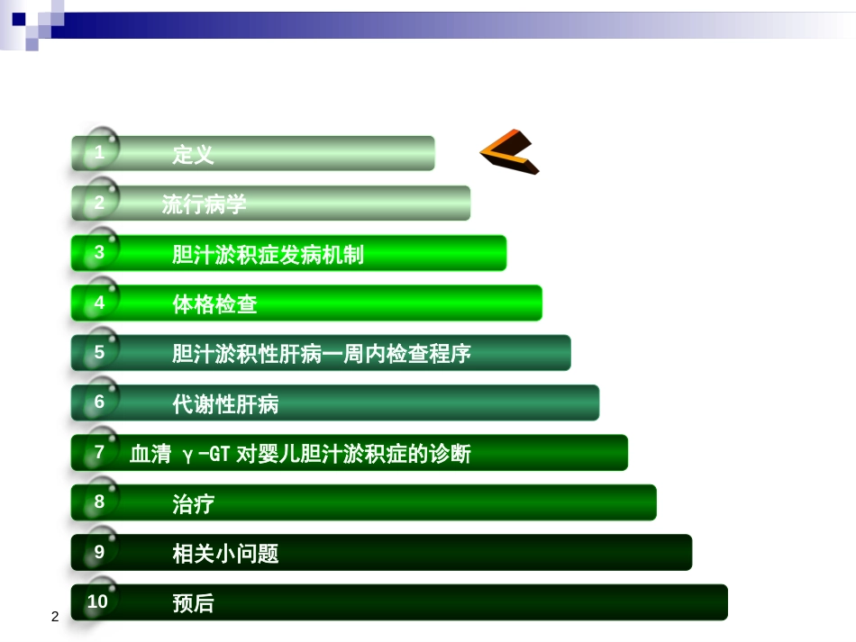 婴儿胆汁淤积症诊疗新进展ppt课件[60页]_第2页