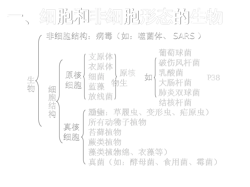 细胞的结构和功能ppt13优秀课件_第2页