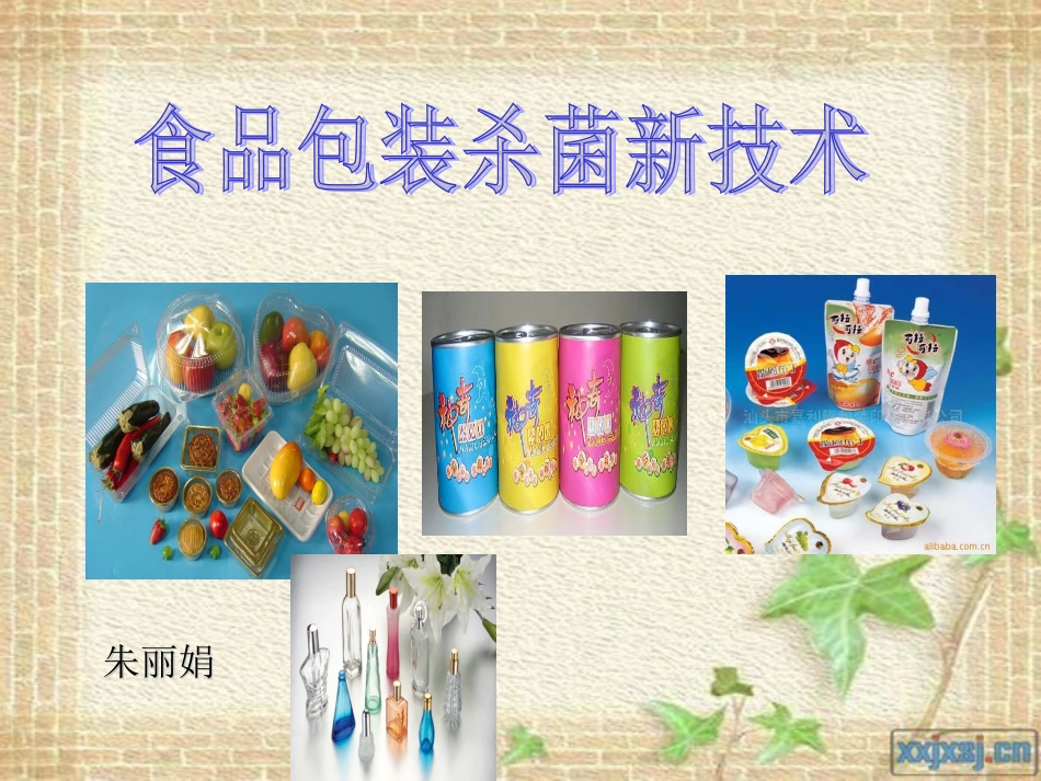 食品包装杀菌新技术——朱丽娟[50页]_第1页