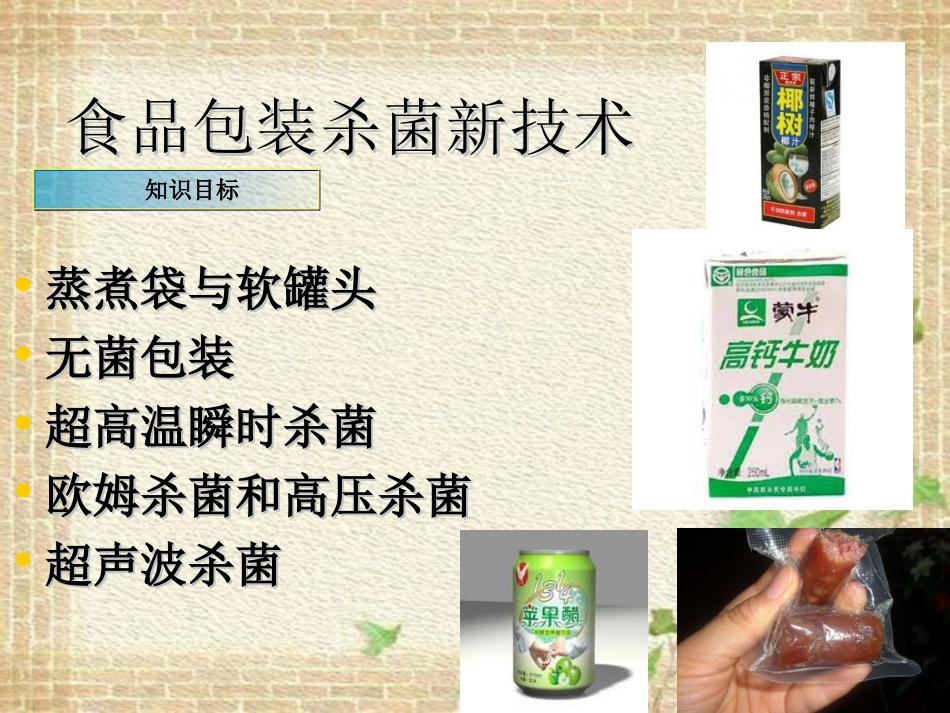 食品包装杀菌新技术——朱丽娟[50页]_第2页