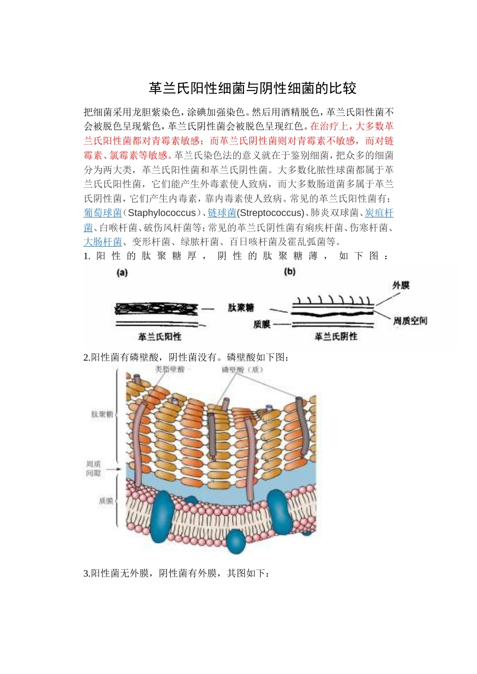 革兰氏阳性菌和革兰氏阴性菌的区别[共4页]_第1页