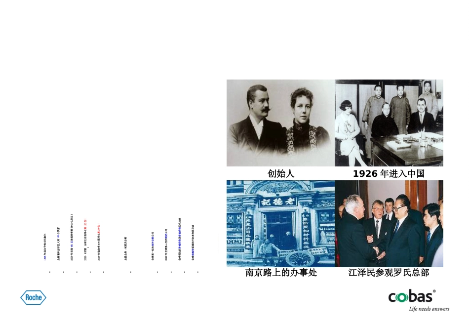 罗氏电化学发光项目介绍[共129页]_第3页