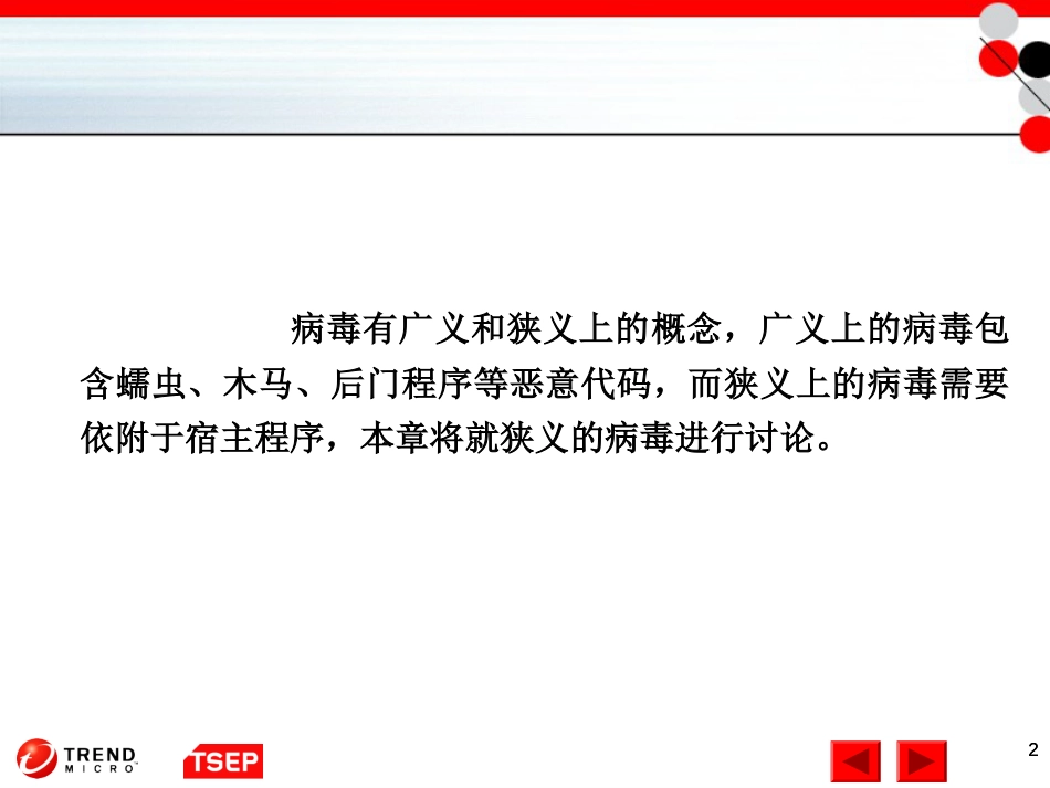 信息安全技术第11章传统计算机病毒_第2页