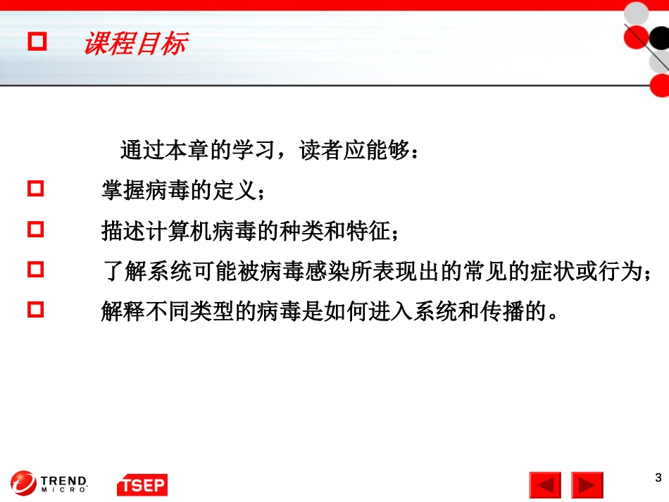 信息安全技术第11章传统计算机病毒_第3页