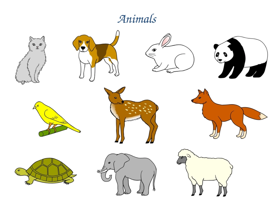 Animals[8页]_第1页