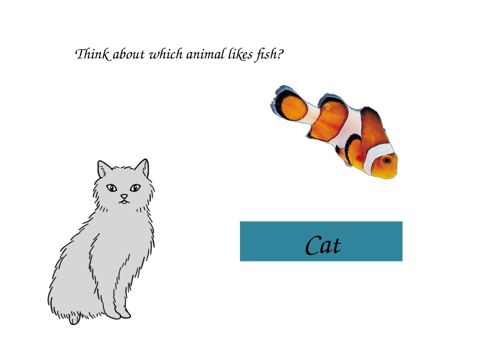 Animals[8页]_第3页