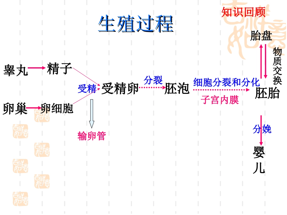 呼吸道对空气处理[21页]_第3页