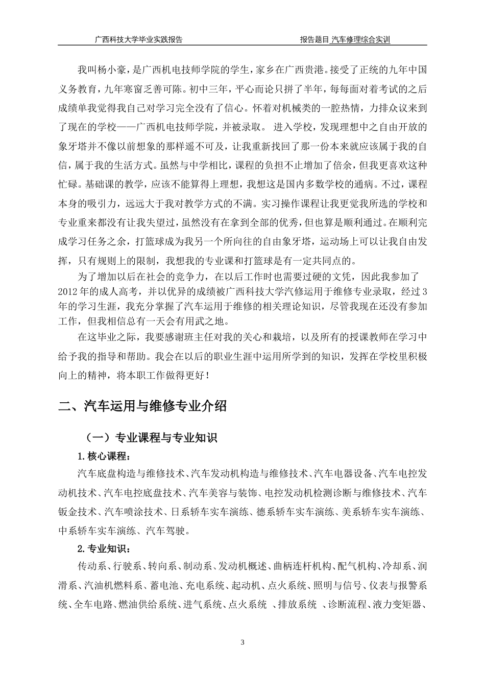 汽车运用与维修专业专科毕业实践报告杨小豪_第3页