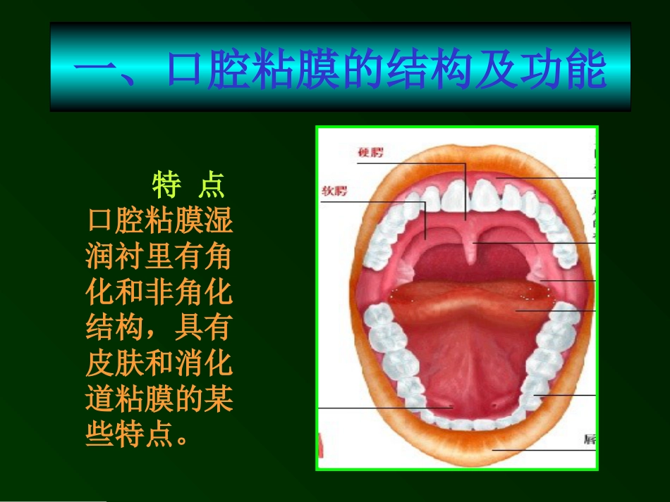 复发性阿弗他溃疡诊疗规范[33页]_第2页