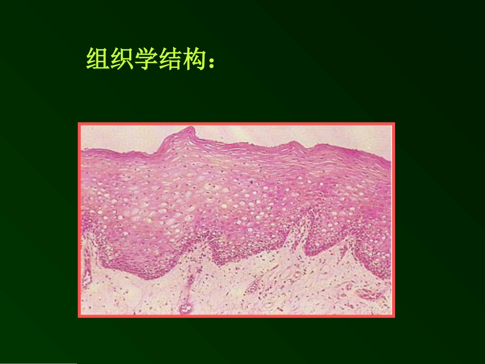 复发性阿弗他溃疡诊疗规范[33页]_第3页