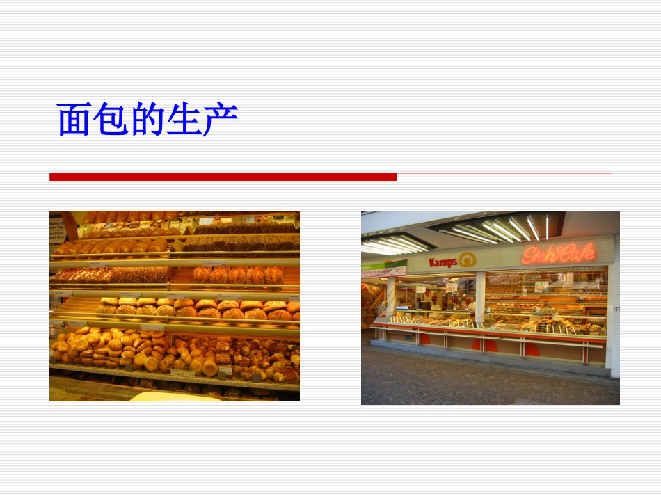 面包烘焙工艺原理培训[共48页]_第1页