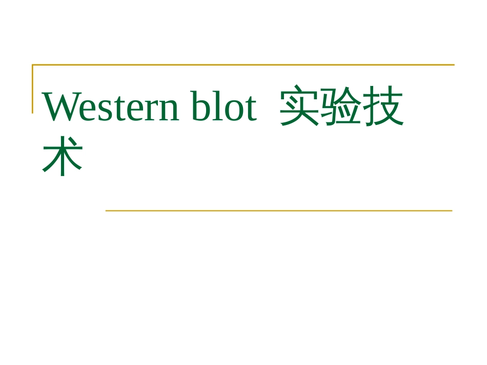 westernblot[39页]_第1页