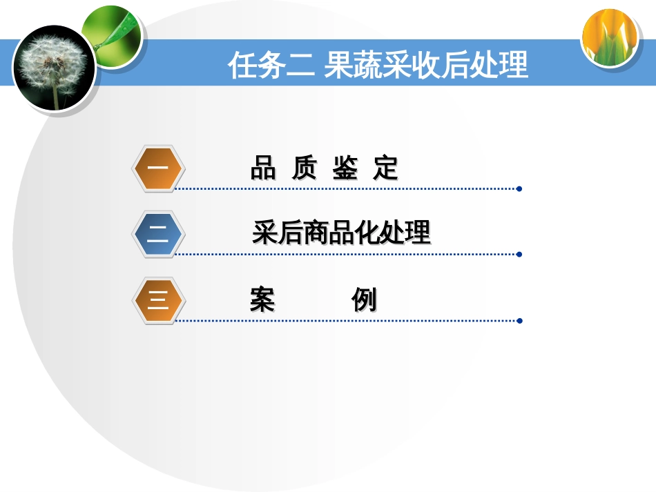 项目四仓储管理果蔬商品化处理[共46页]_第3页