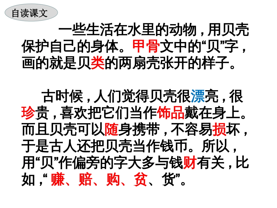 部编版二年级下册《贝的故事》课件[共34页]_第2页