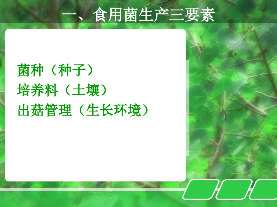 食用菌生产技术(概述)解析[26页]_第2页