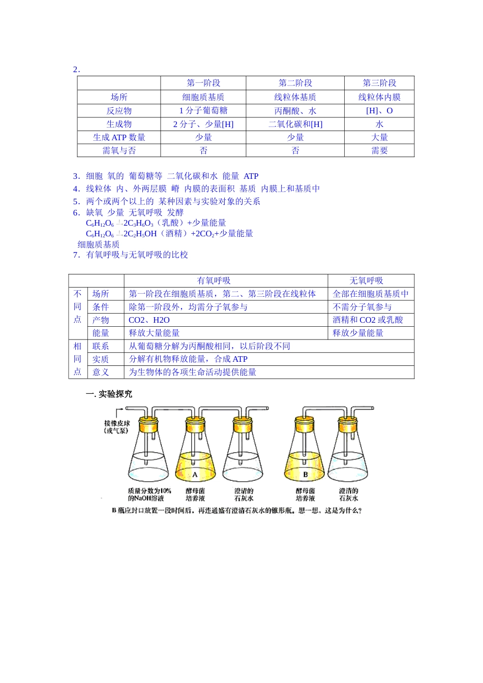 ATP的主要来源——细胞呼吸复习教案_第3页