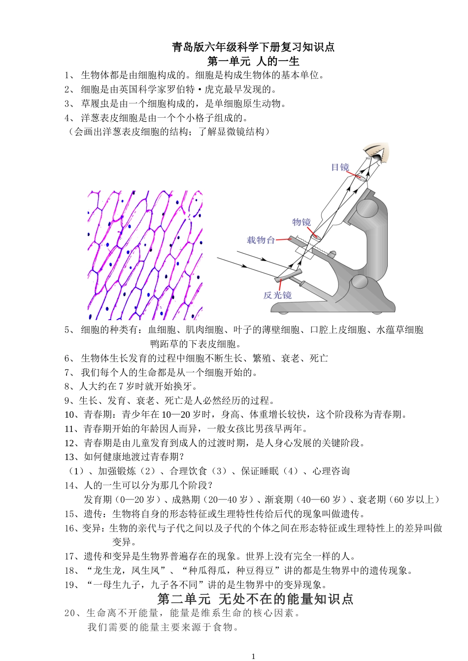 青岛版六年级下册科学知识点总结[14页]_第1页
