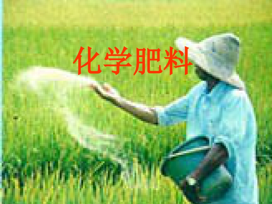 化肥PPT课件人教版_第1页