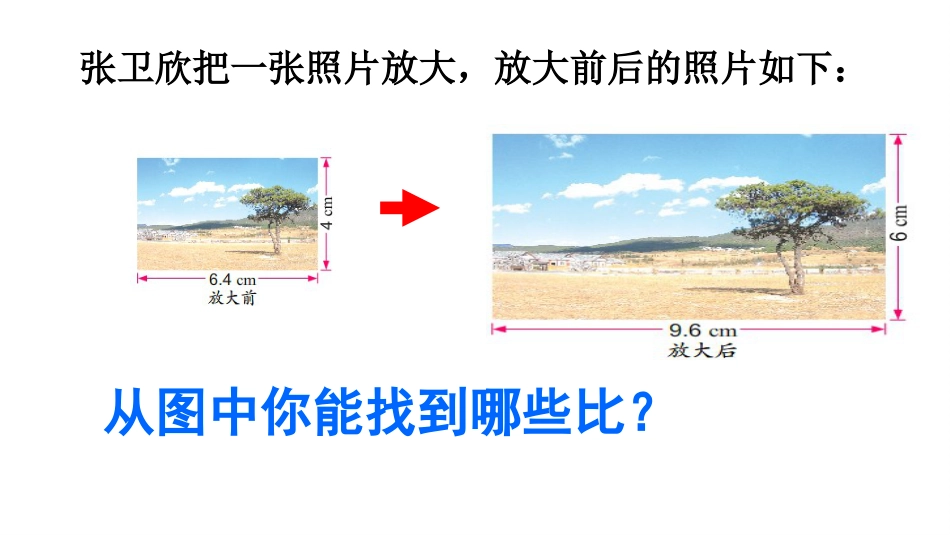 认识比例[11页]_第3页