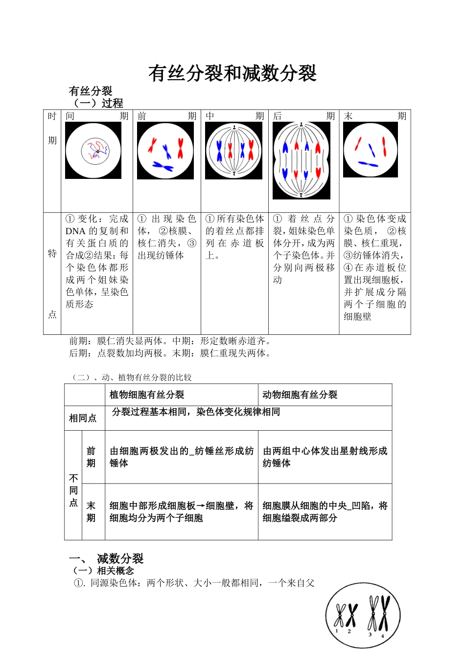 高中生物必修二有丝分裂减数分裂详尽分析[10页]_第1页